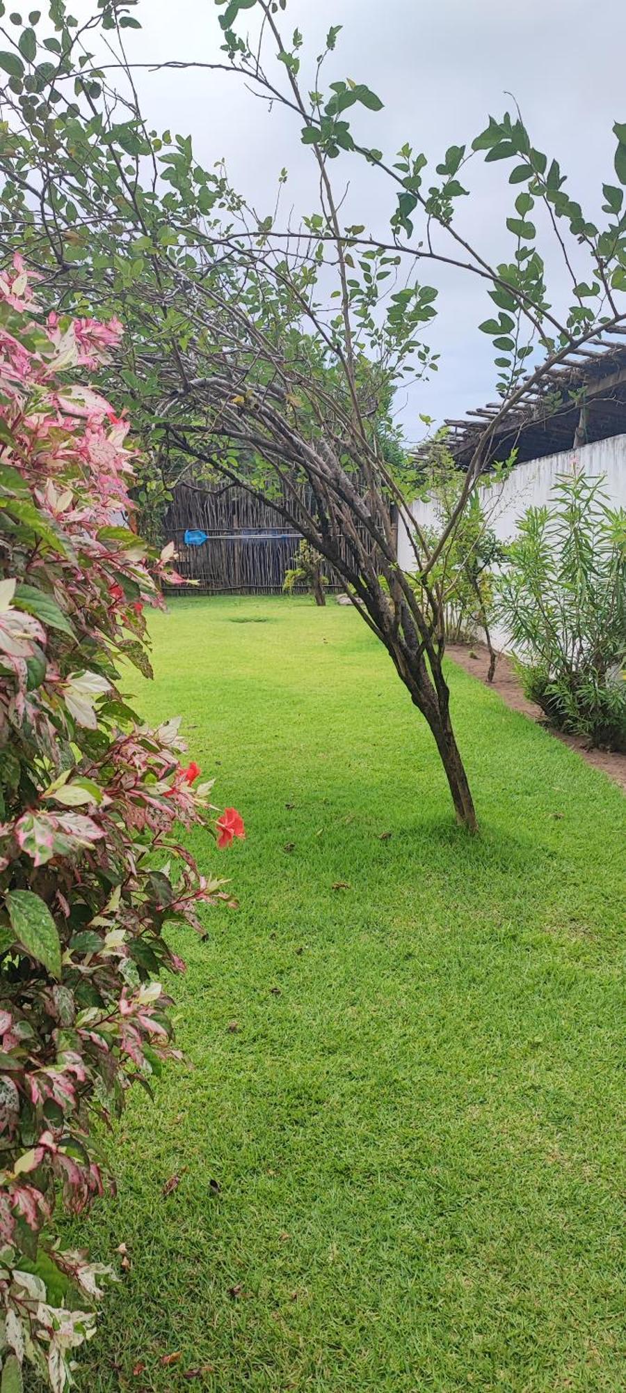 Pousada Sunshine Patacho Rota Ecologica Dos Milagres Pôrto de Pedras Kültér fotó