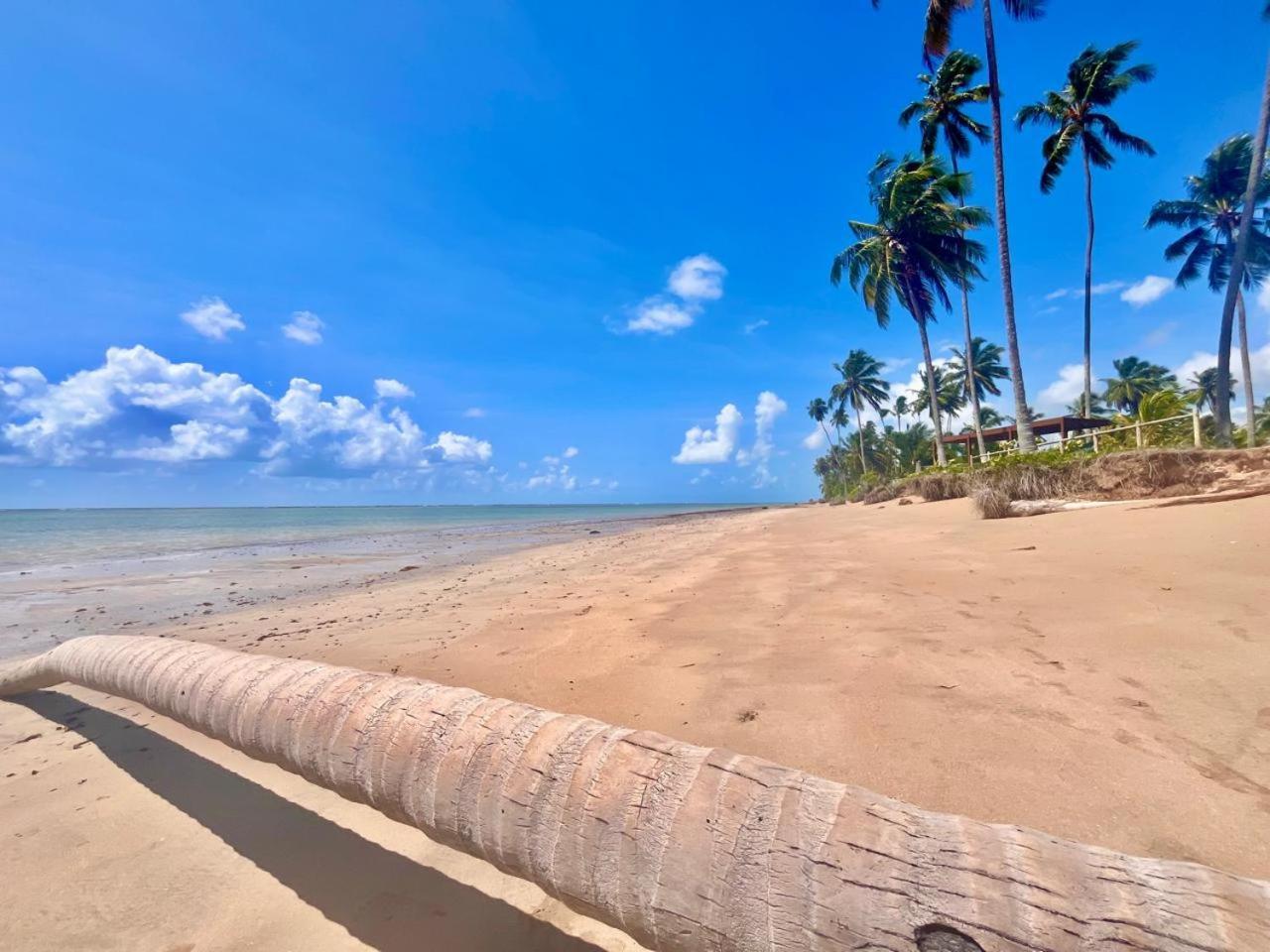 Pousada Sunshine Patacho Rota Ecologica Dos Milagres Pôrto de Pedras Kültér fotó
